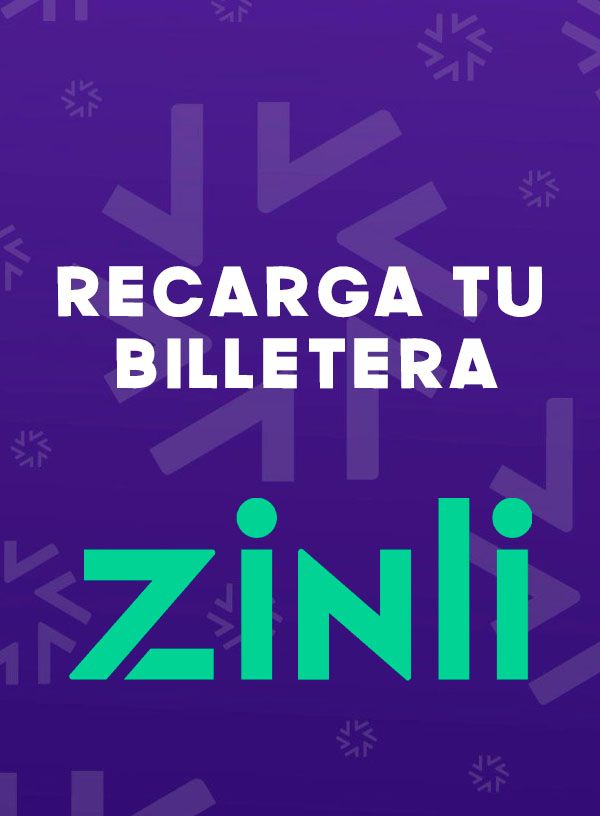 ZINLI~3